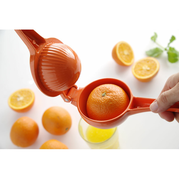 orange ( pour oranges)