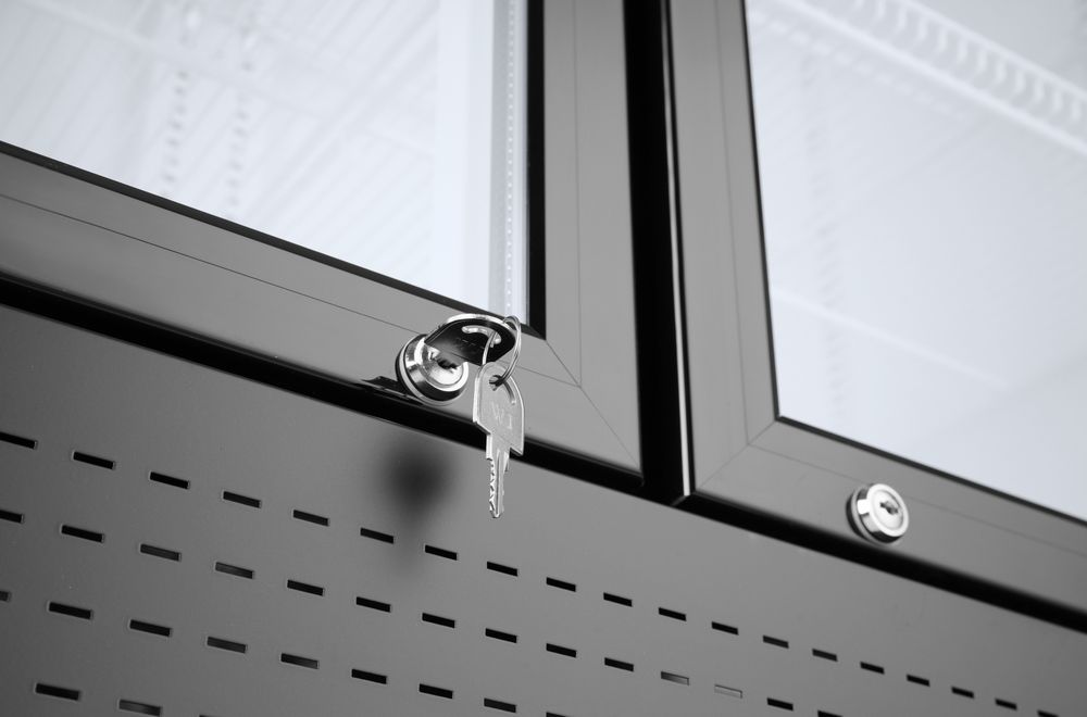 Armoire réfrigérée avec caisson lumineux, double porte, Arktic, 512L, Noir, 220-240V/510W, 1120x585x(H)1900mm - Image 4