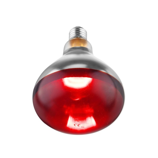 Ampoule infrarouge chauffante, HENDI, Rouge, 230V/250W, ⌀125x(H)170mm - Image 4